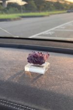 綻放覺醒｜紫水晶花：圖片 2
